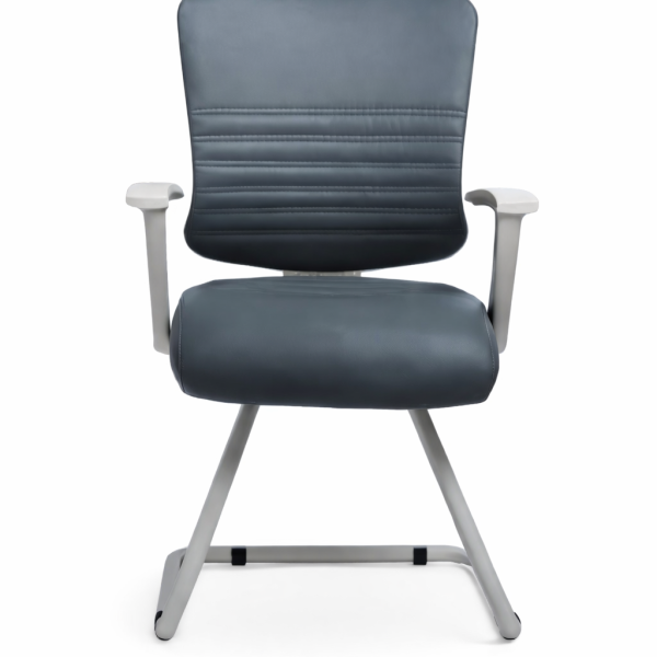 Model Sky PU Visitor